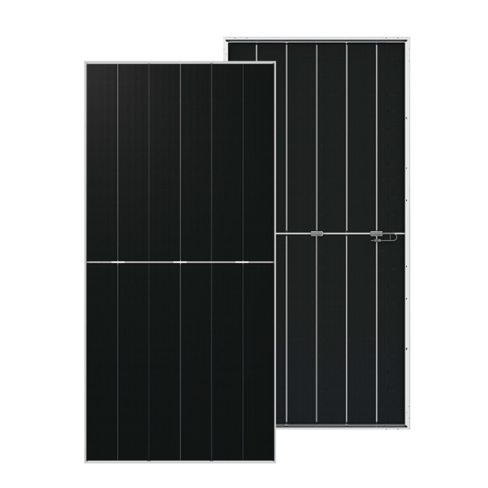 DMEGC Solar DM650G12RT-B66HSW 650 W